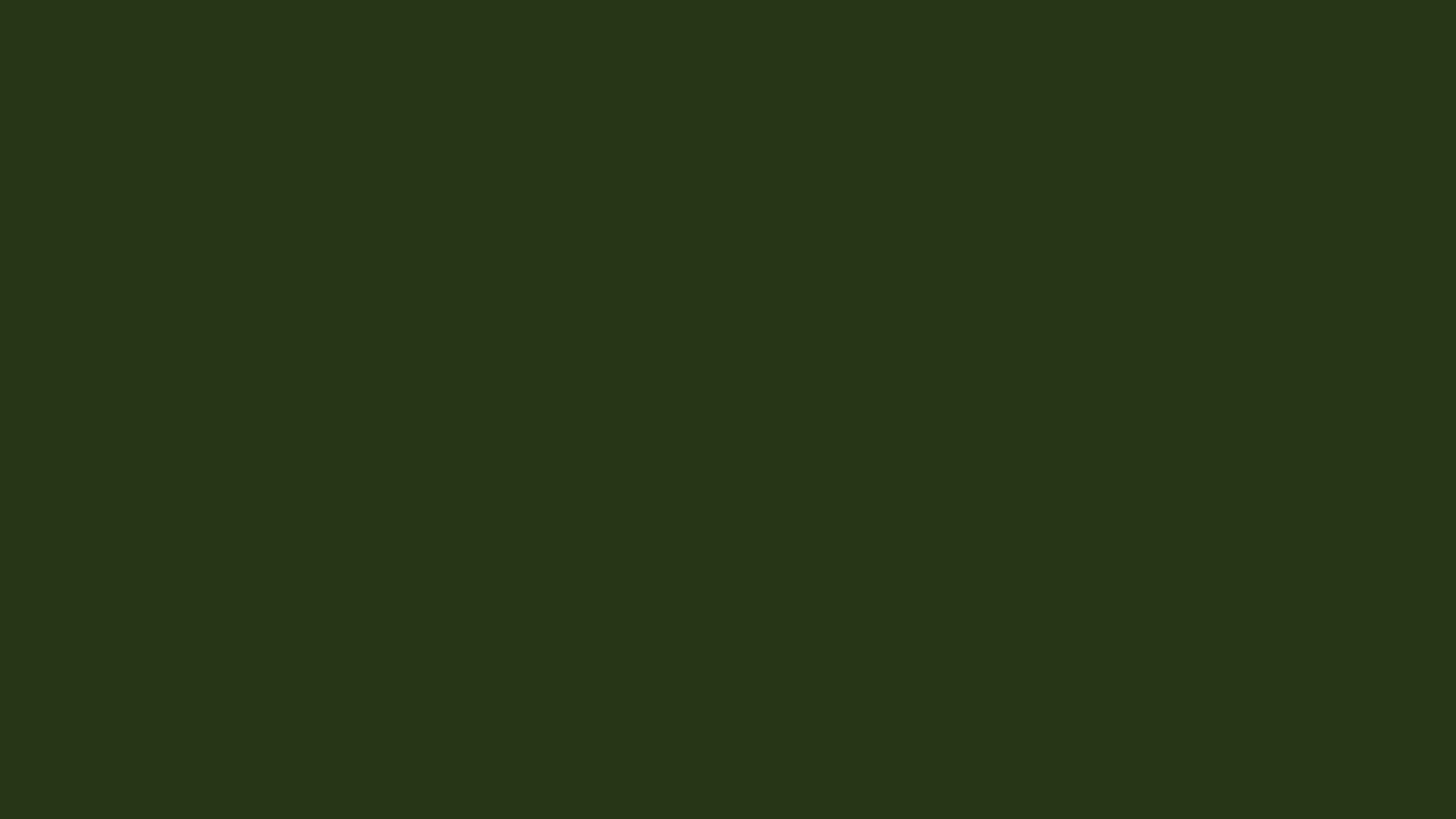 Ronostrand_Green_BG_Color